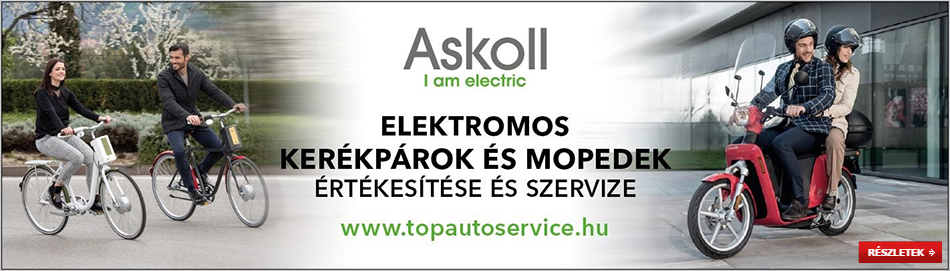 Askoll